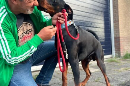 jeroen en vito e dobermann